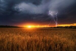 Синоптики попереджають про погіршення погоди: які регіони накриють грози