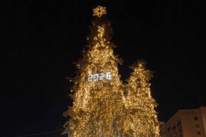 Луцьк засвітив святкові ялинки