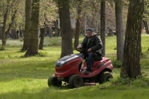 Як у Луцьку доглядають парки та створюють унікальні екоскульптури (Відео)