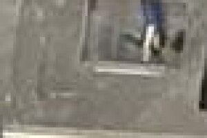 І дрон, і рушниця, і брендовий одяг: волинські митники виявили «прихований» товар вартістю майже 1 млн грн