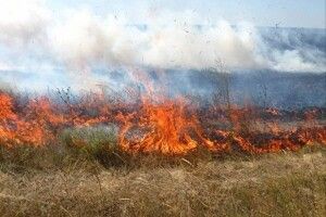 Які штрафи загрожують волинянам цьогоріч за паління сухої трави