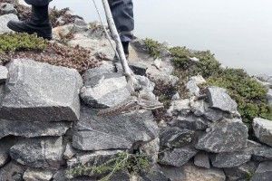 На території ресторану в центрі Дніпра виявили пвтори дюжини змій (фото)
