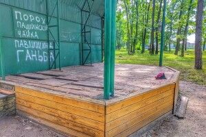На Волині у міському парку дивом не травмувалася дитина