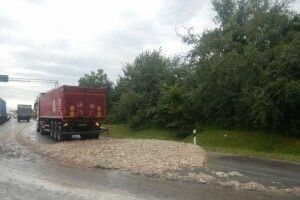 Водій фури засипав дорогу курячими трупами 