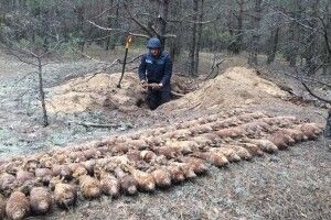 На Старовижівщині знешкодили цілий арсенал