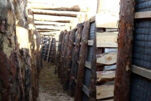 Волинь та Рівненщина активно постачають деревину для фортифікацій