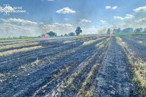 Волинянин ледве не спалив зернове поле
