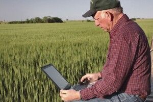 У 41 волинське село проведуть інтернет