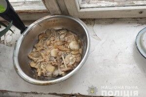 Ймовірно, закушували самогон опеньками: на Житомирщині за дивних обставин померла пенсіонерка та дві її дорослі доньки