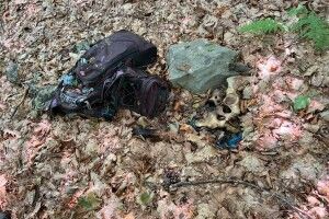 У горах на заході України прикордонники натрапили на рештки двох людей (Фото)