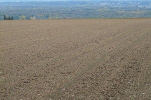 Вартість землі на Рівненщині на січневих аукціонах зросла вдвічі