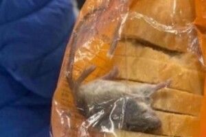 В магазин, де знайшли мертву мишу в упаковці з хлібом, прийшли з перевіркою