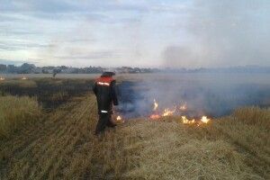 Рятувальники виявили палія, через якого горіло поле під Луцьком