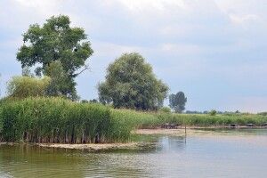 Прокуратура Волині виявила незаконну забудову у заповіднику на Турійщині