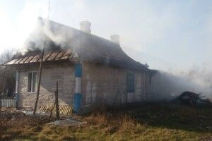 У селі Яполоть хату атакував червоний півень (фото)
