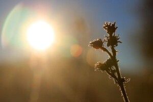 Температура впаде до +9°: в Україну йде похолодання