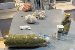 У «Ягодині» затримали заробітчанина з галюциногенними грибами (Фото)