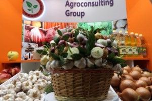 Наш «часниковий ексклюзив»