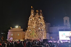 Яке місце зайняли луцькі ялинки у веукраїнському рейтингу (Фото)