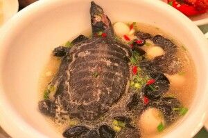 Українець викрав у сусідки черепаху та зварив із неї суп