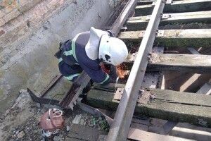 Травмувалася і не могла встати: жінка впала в бункер для зерна (Фото 18+)