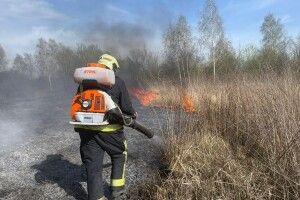 На Волині упіймали молоду підпалювачку сухої трави