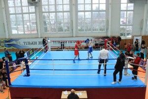У Луцьку відбувся чемпіонат Волині з боксу (Фото)