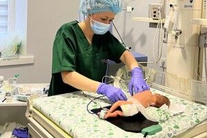 Немовля з Рівного, яке народилося з вагою 680 грамів, нині вже вдома (Фото)