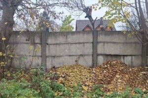 Лучанин отримав протокол за «прибирання» свого подвір'я