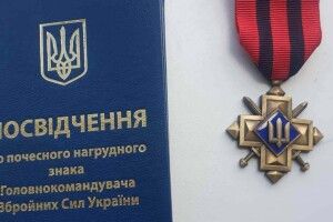 Волинянин отримав почесну відзнаку від Залужного