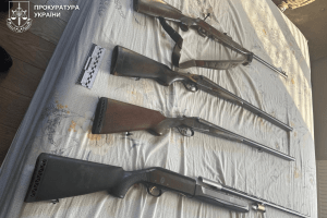 Волинянин серед білого дня жорстоко вбив сусідського пса