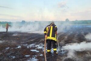 На Волині четверту добу горить торфовище: вогонь охопив гектари землі
