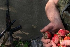 На Херсонщині окупанти влаштовуються до місцевих збирати полуницю