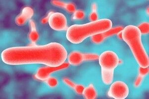 Волинянин захворів на бутулізм після того, як поїв тушонки 