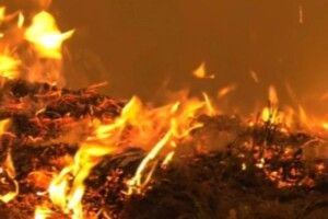 Рятувальником вдалося врятувати будинок мешканки Луцького району. Господиня – в лікарні