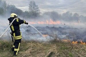 На Волині упіймали палія сухої трави