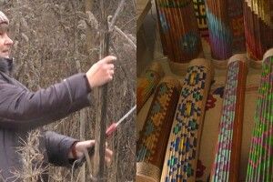Лучанка перетворює отруйний борщівник у музичні  інструменти