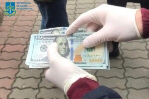 Експосадовці Держекоінспекції Волині проведуть 5 років за ґратами 