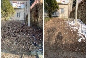 Рівняни скаржаться на гори гілля, які не прибирають непорядні власники садиб (Фото) 