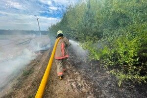 На Волині палав торф'яник та суха трава