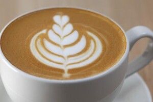 Хвостатий лучанин кольору капучино шукає сім'ю (фото)