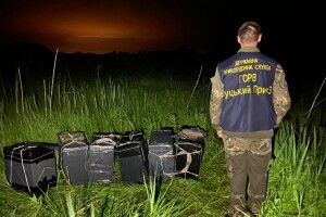 Луцькі прикордонники зірвали перевезення через кордон 12 ящиків сигарет