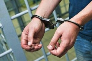 Тіло лежало серед дерев у саду: на Житомирщині знайшли вбитою зниклу студентку (Фото)