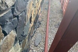Заповзла в двір: у селі на Волині рятувальники ловили змію (Фото)