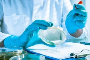 У Луцькому районі від лістеріозу померло немовля