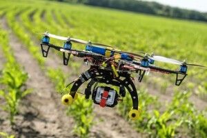 Науковці розробили дрон, що рахує полуницю з повітря