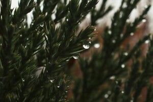 Стало відомо, яка погода буде в Україні на Католицьке Різдво
