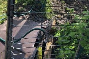 У місті на Волині викликали поліцію, щоб втихомирити господарів, які самовільно врізалися у водопровід
