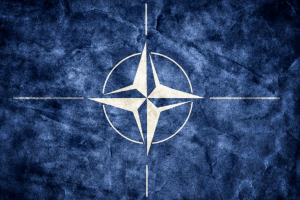 У Польщі не виключають, що НАТО може ввести війська в Україну