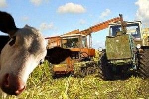 На Волині росте і промисловість, і сільське господарство